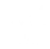 Beach Life CPA logo